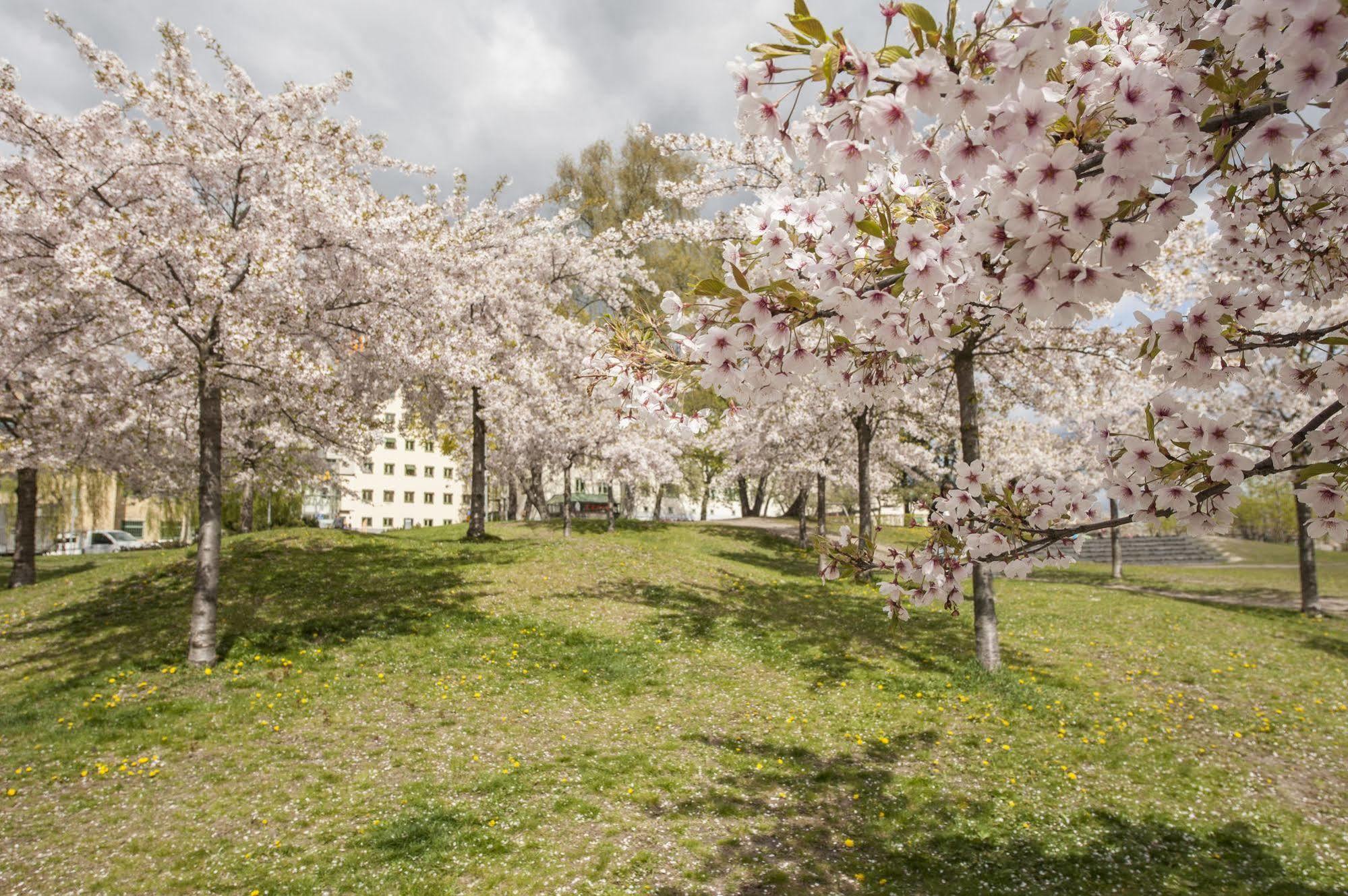 Motel L Hammarby Sjoestad ストックホルム エクステリア 写真